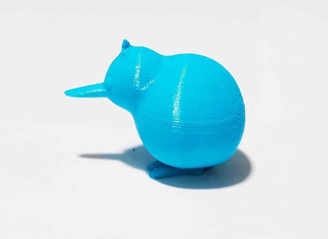 Cute kiwi 3D print model_6