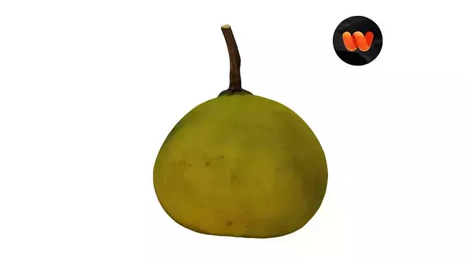 Bergamot Orange - Extreme Definition Scanned