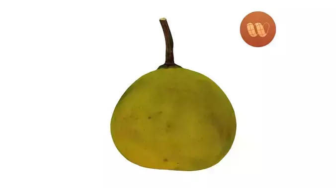 Bergamot Orange - Real-Time Scanned