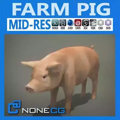 Farm Pig 3D model