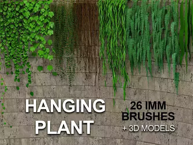 26 Hanging Plants IMM Brushes plus 3D Models 3D model