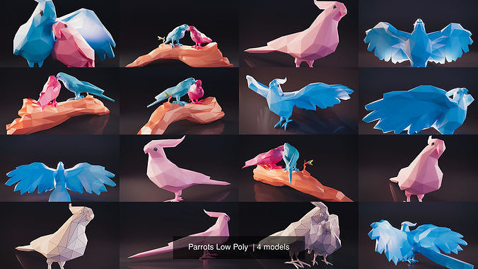 Parrots Low Poly  3D Model Collection