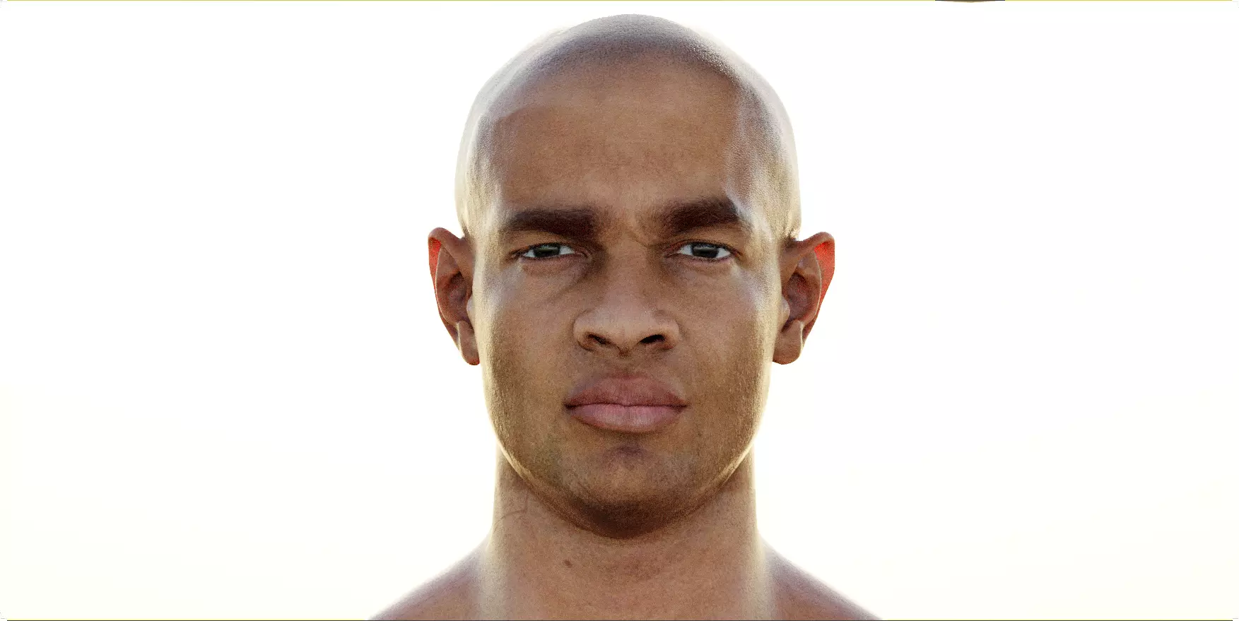 Digital Human Portrait Demo Free 3D model_0