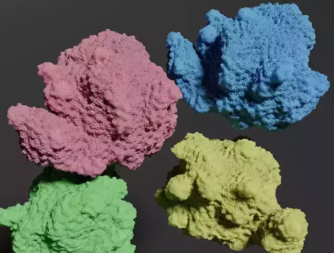 CORAL four colored rocks