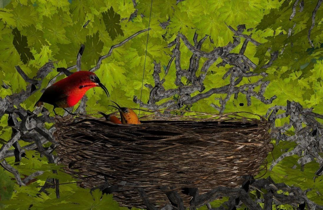 birds weth nest 3D model_1