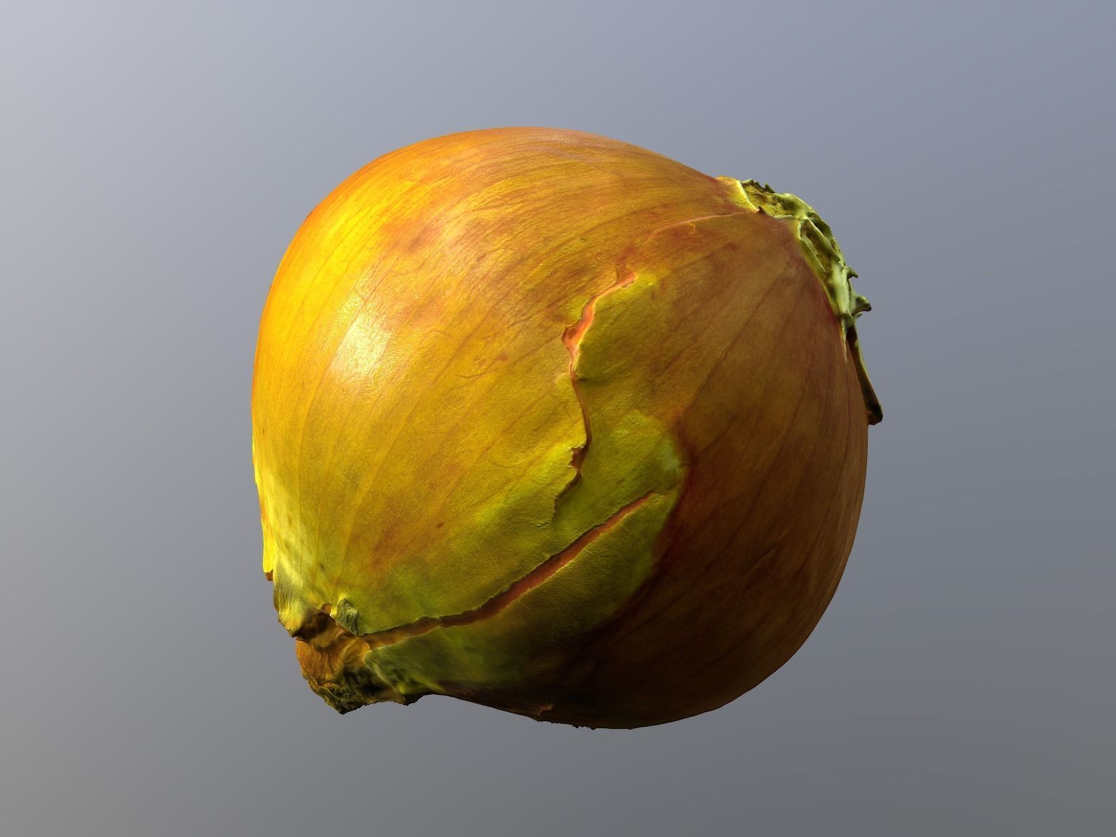 Onion 3d Scan 3D model_2