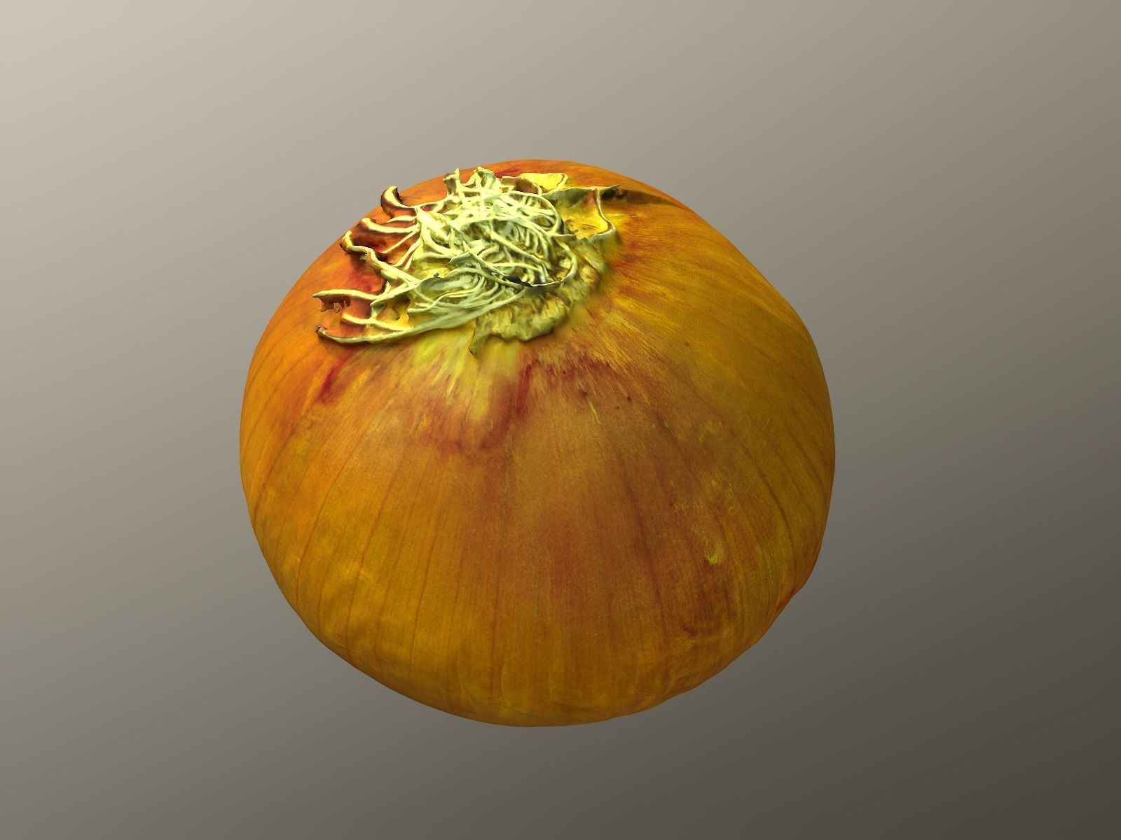 Onion 3d Scan 3D model_6
