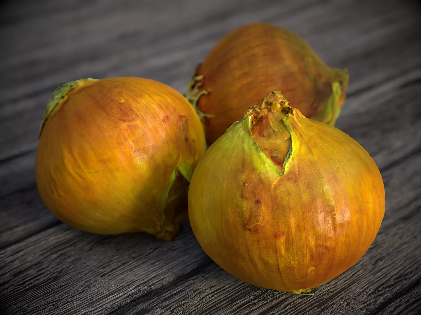 Onion 3d Scan 3D model_0