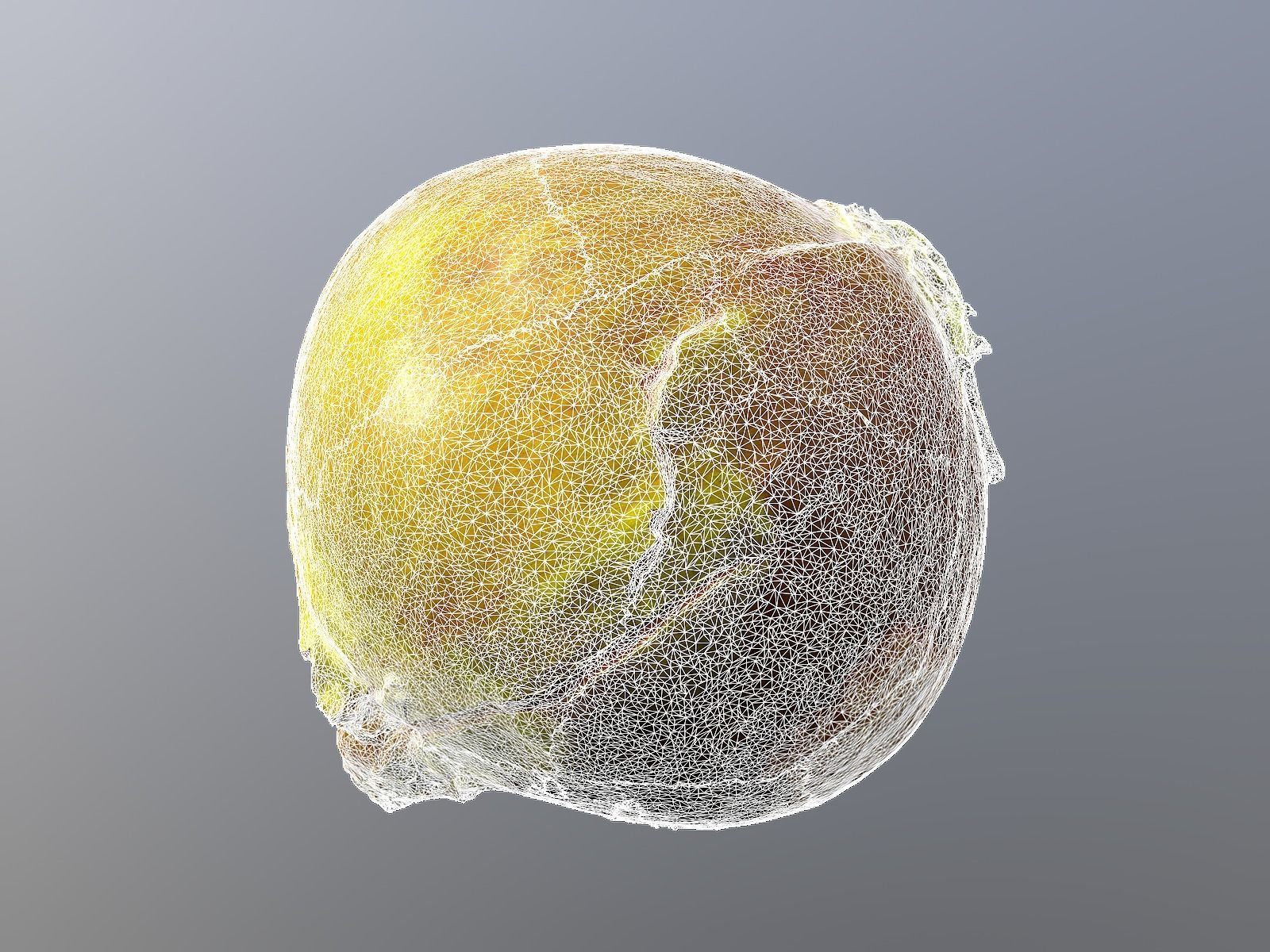 Onion 3d Scan 3D model_9