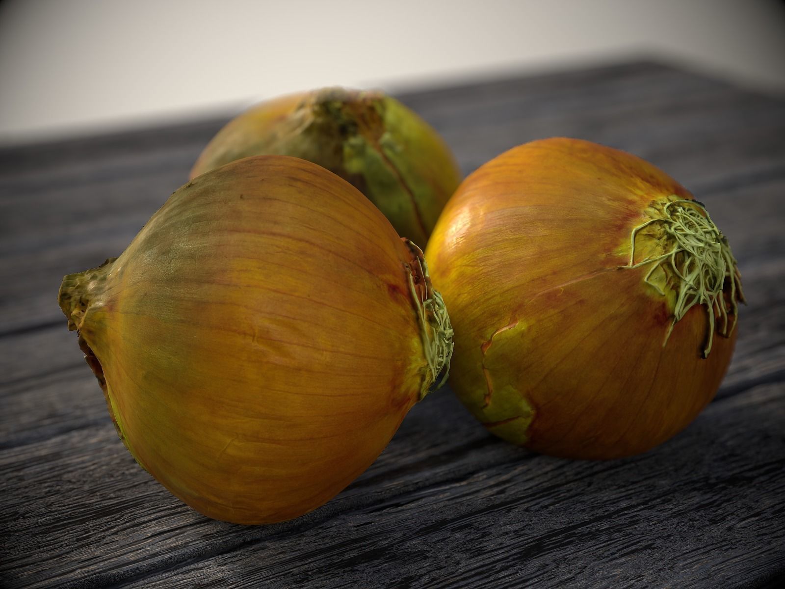 Onion 3d Scan 3D model_1