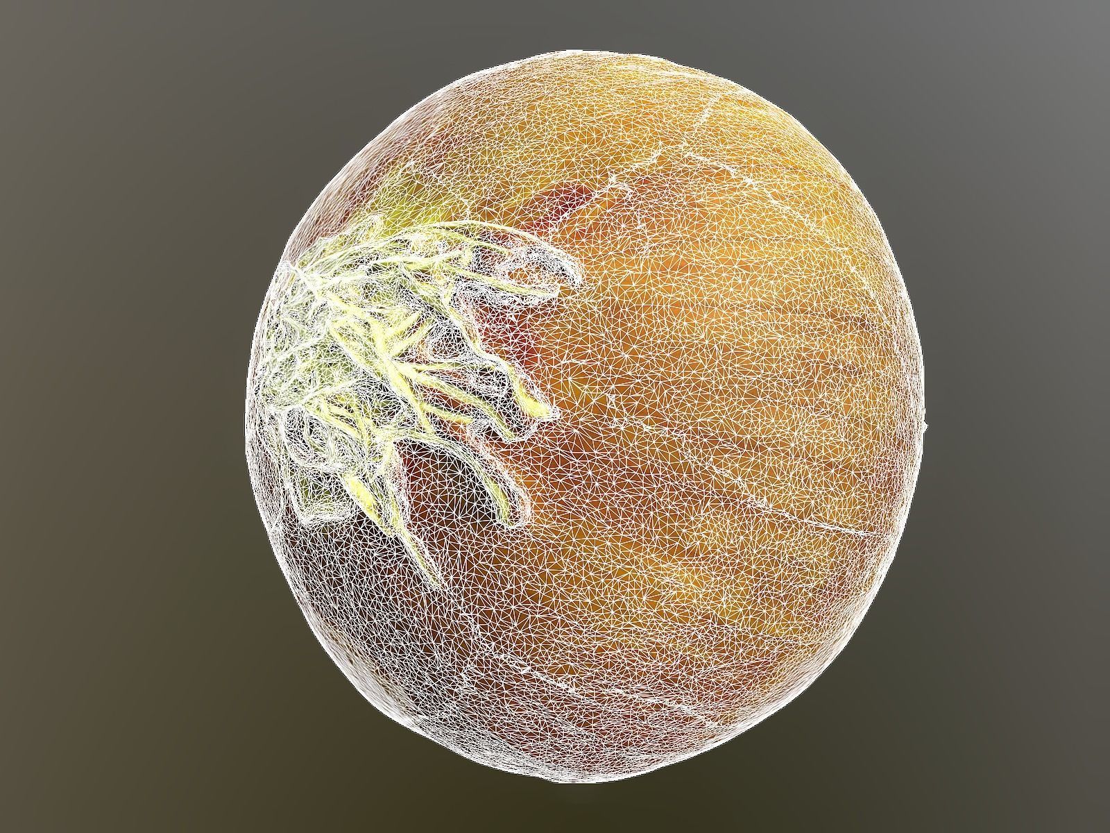 Onion 3d Scan 3D model_8