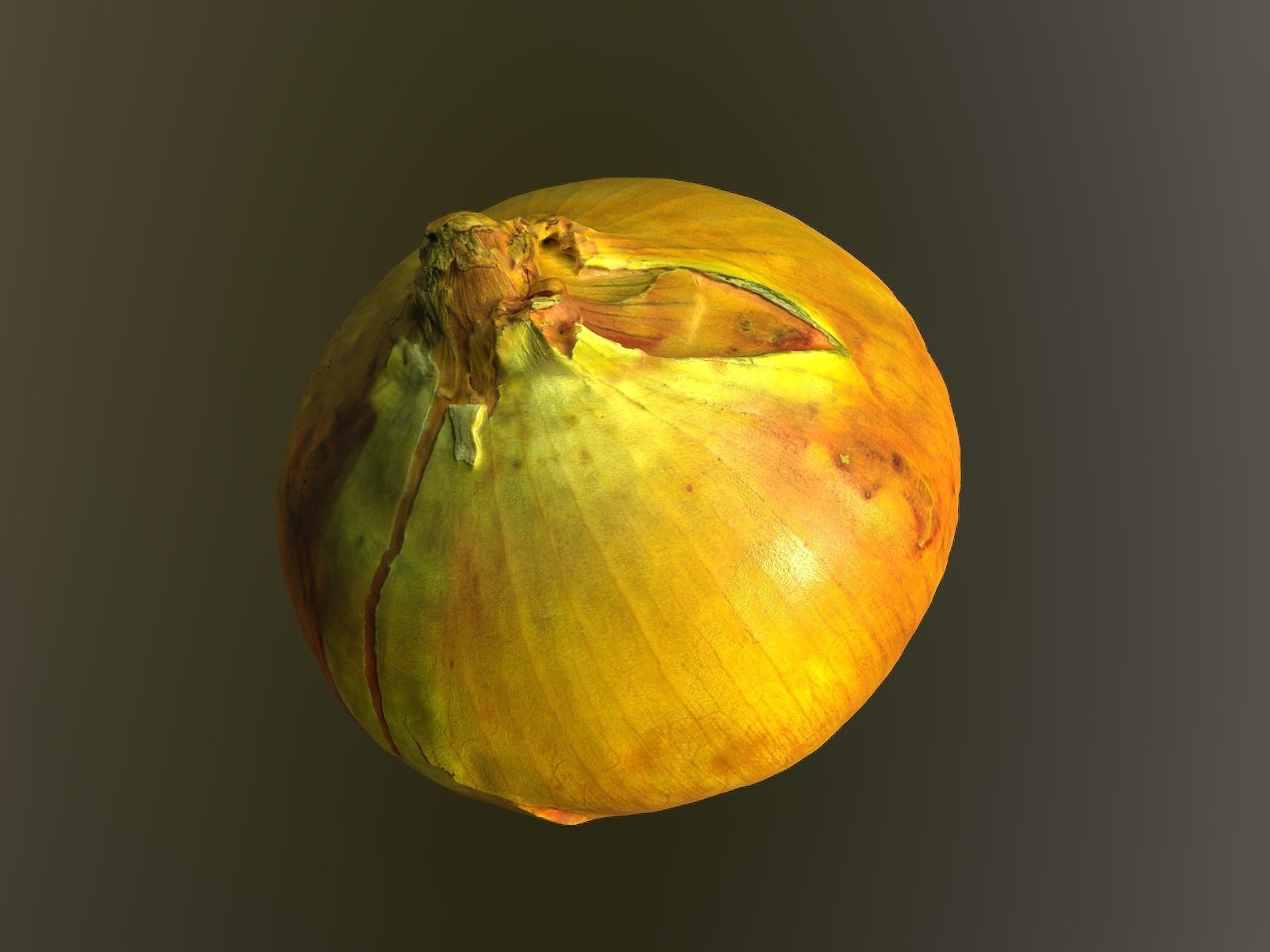 Onion 3d Scan 3D model_3
