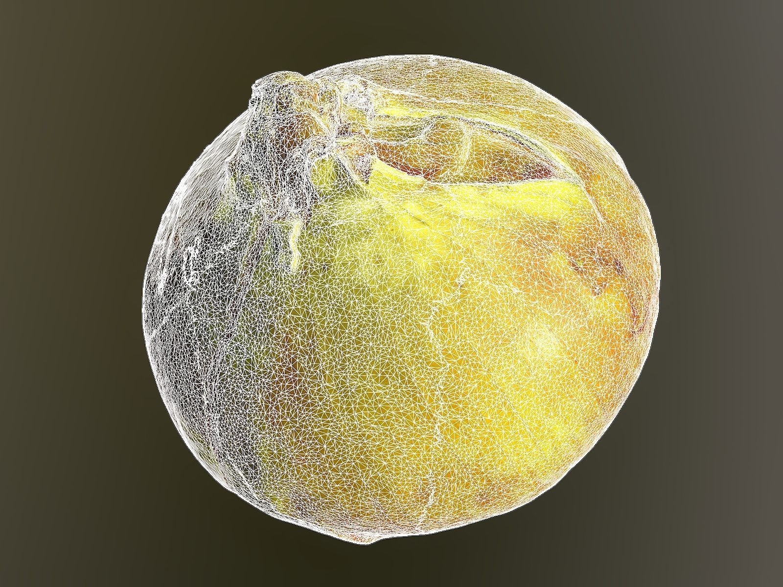Onion 3d Scan 3D model_7