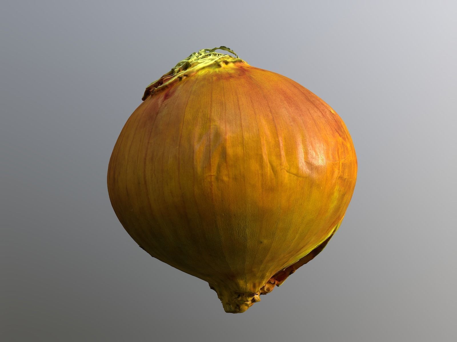 Onion 3d Scan 3D model_5