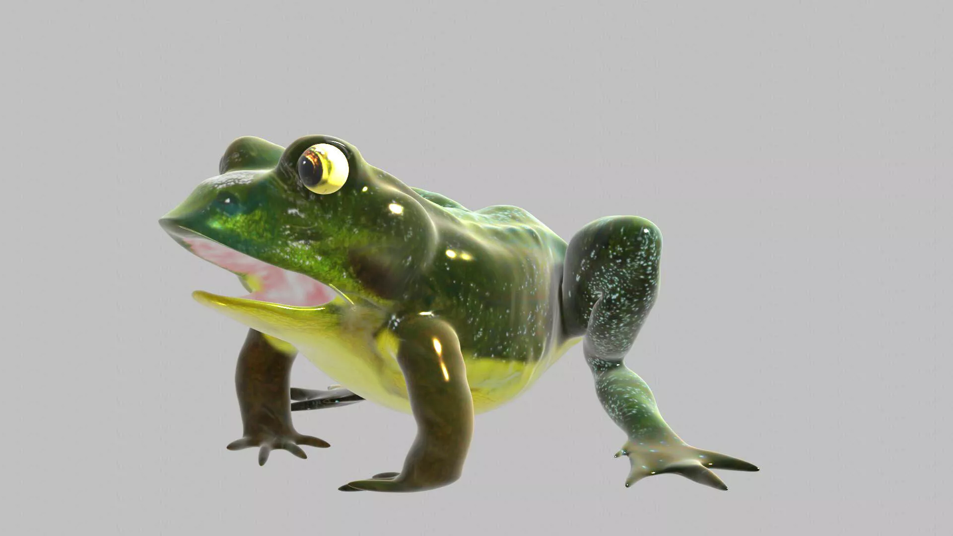 Frog With Basic Rig 3D model