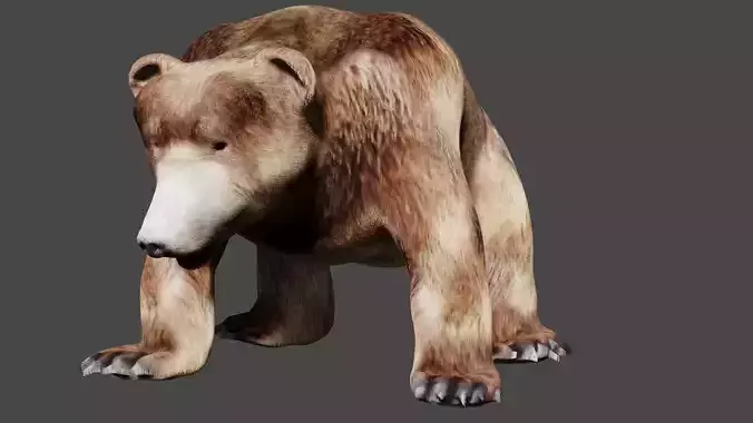 Bear With Textures 3D model