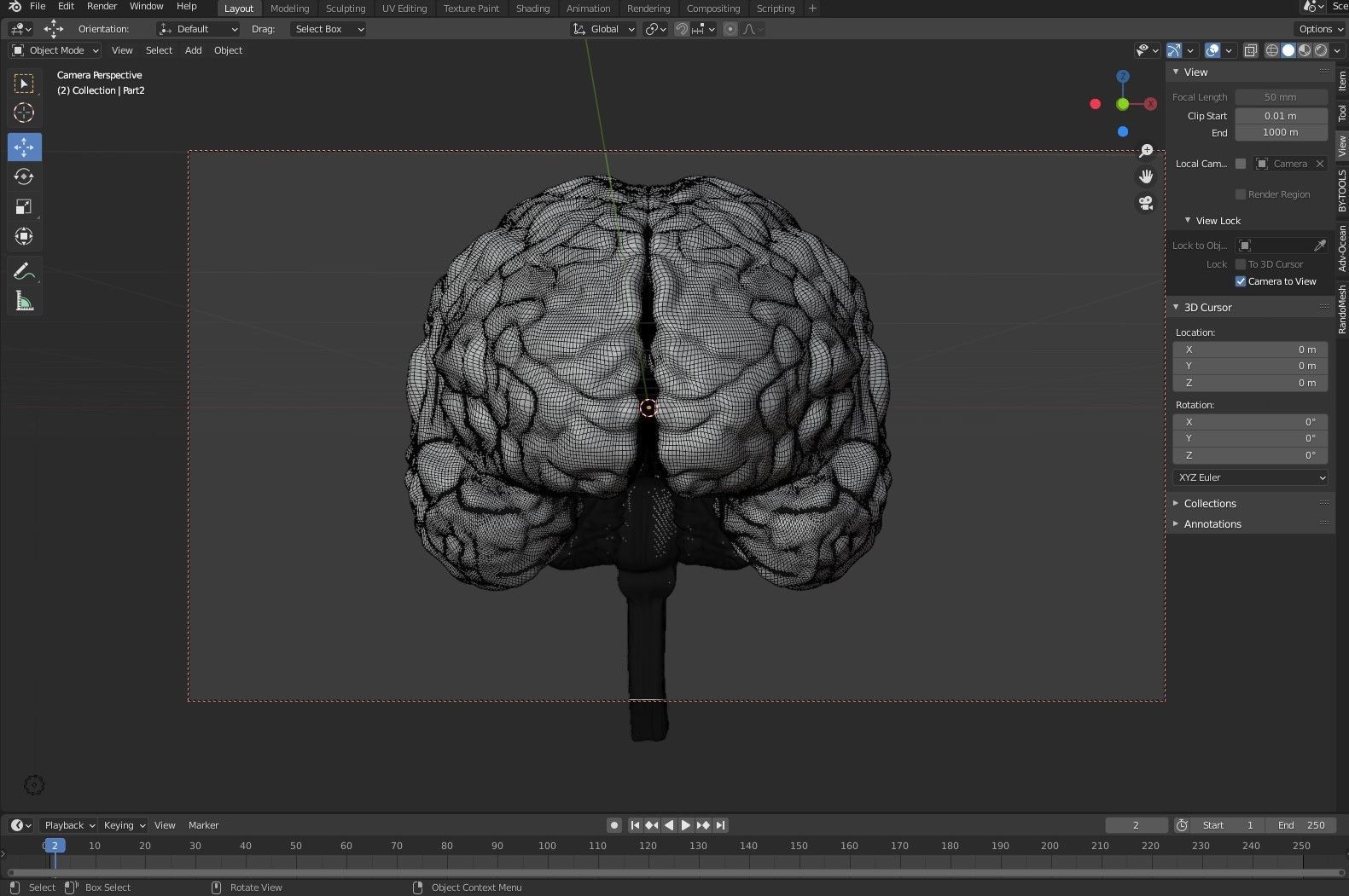 Anatomical Brain Model 3D model_8