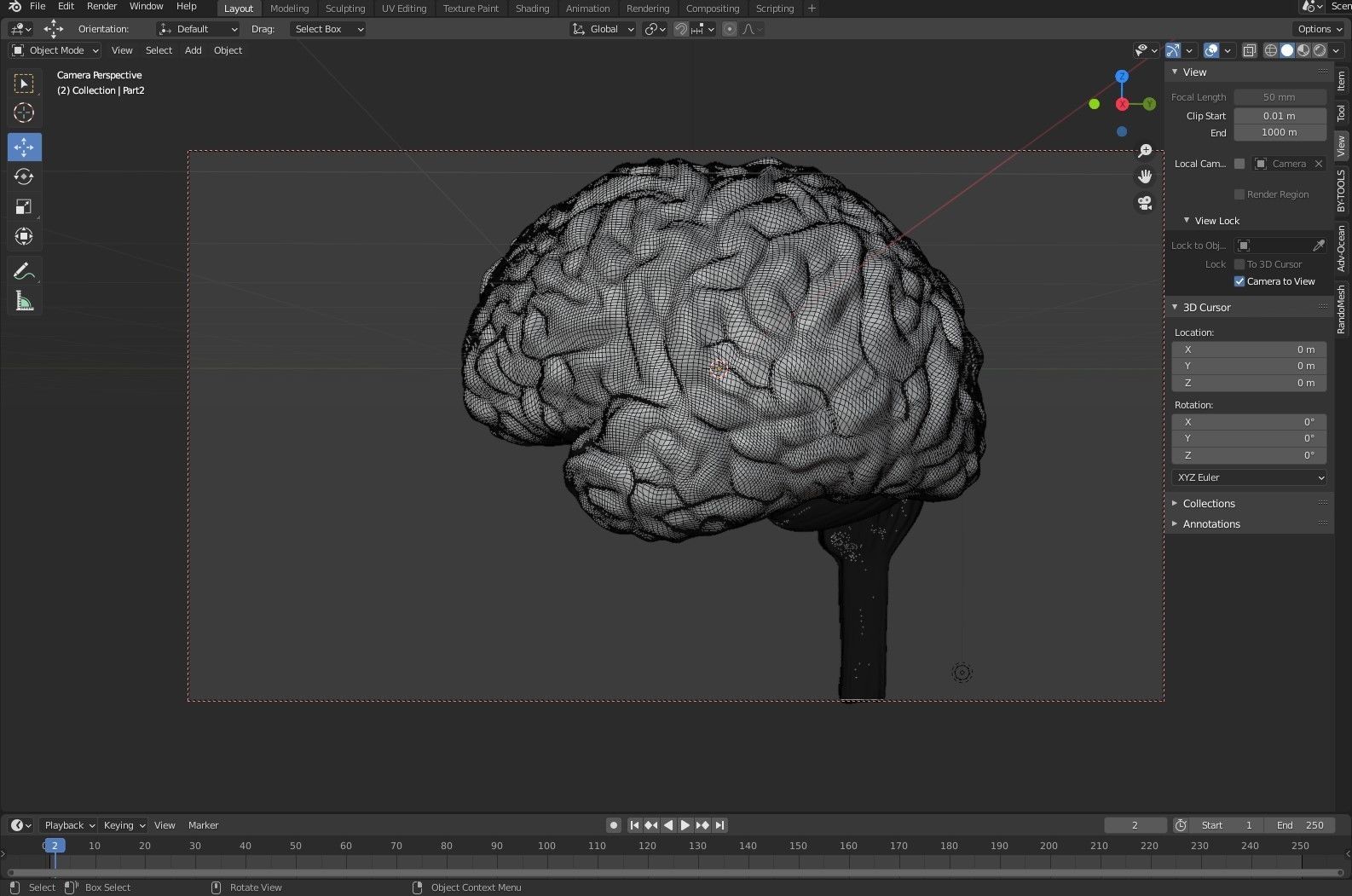 Anatomical Brain Model 3D model_7