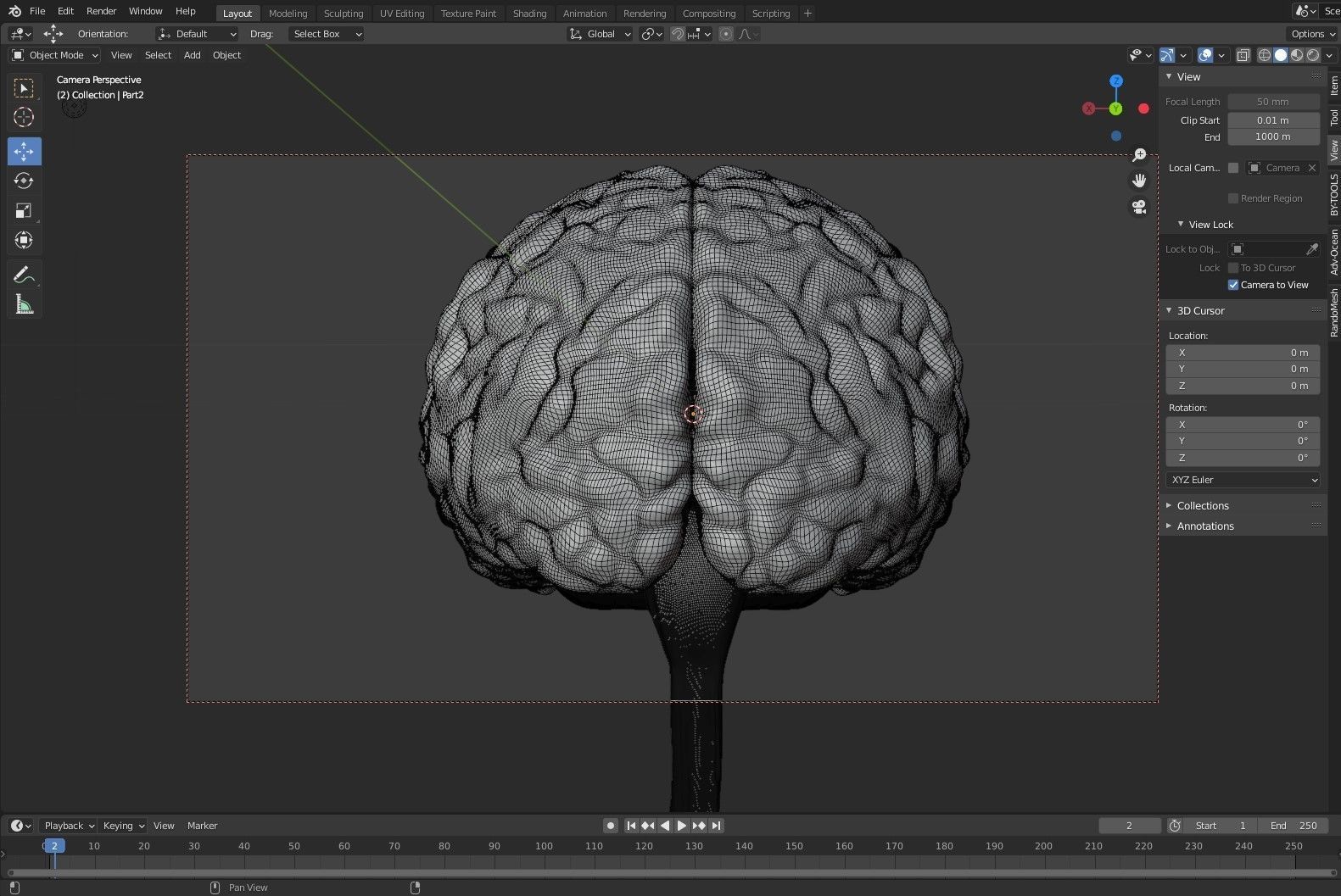 Anatomical Brain Model 3D model_9