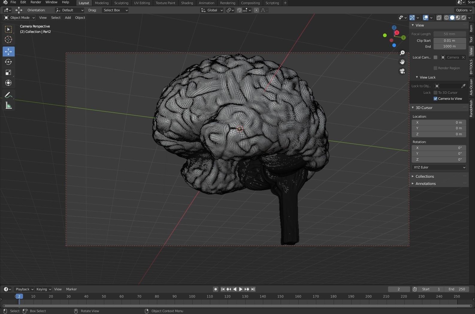 Anatomical Brain Model 3D model_6