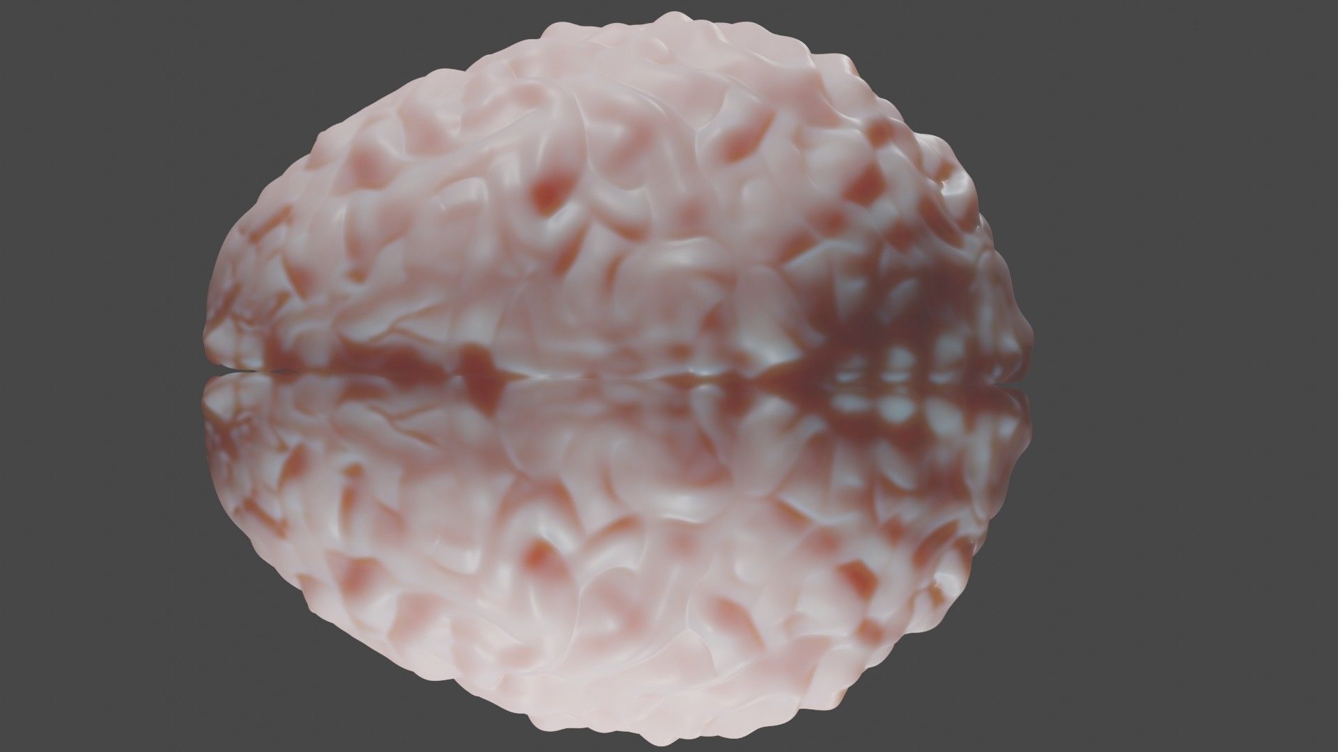 Anatomical Brain Model 3D model_5
