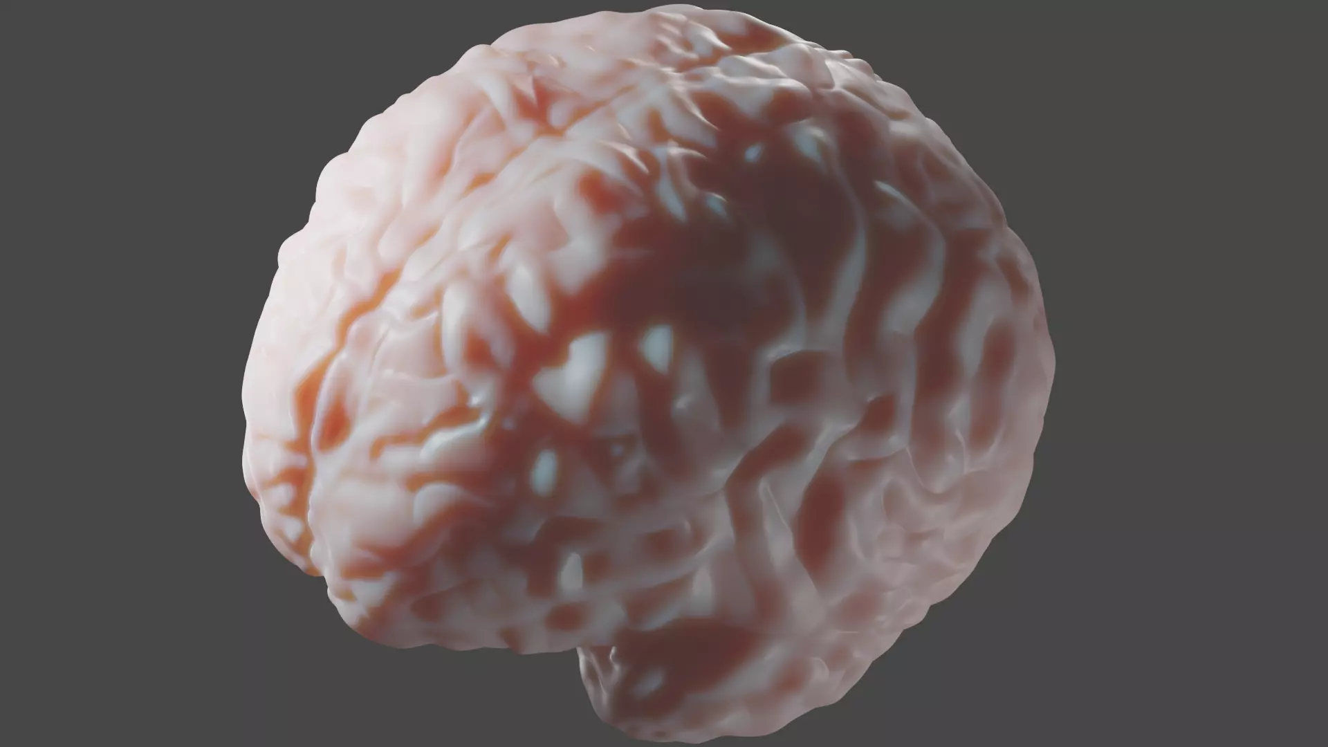 Anatomical Brain Model 3D model_0