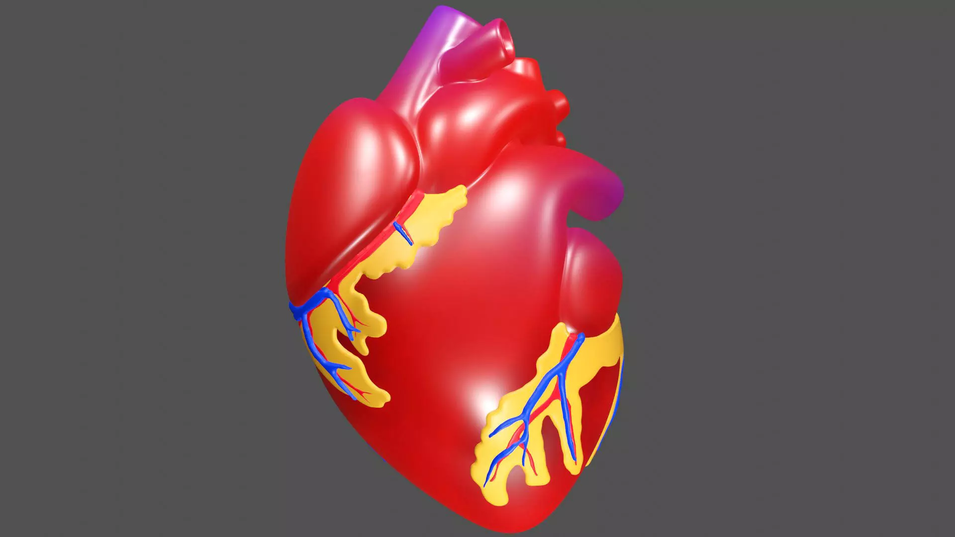 Anatomical Heart Model 3D model_0
