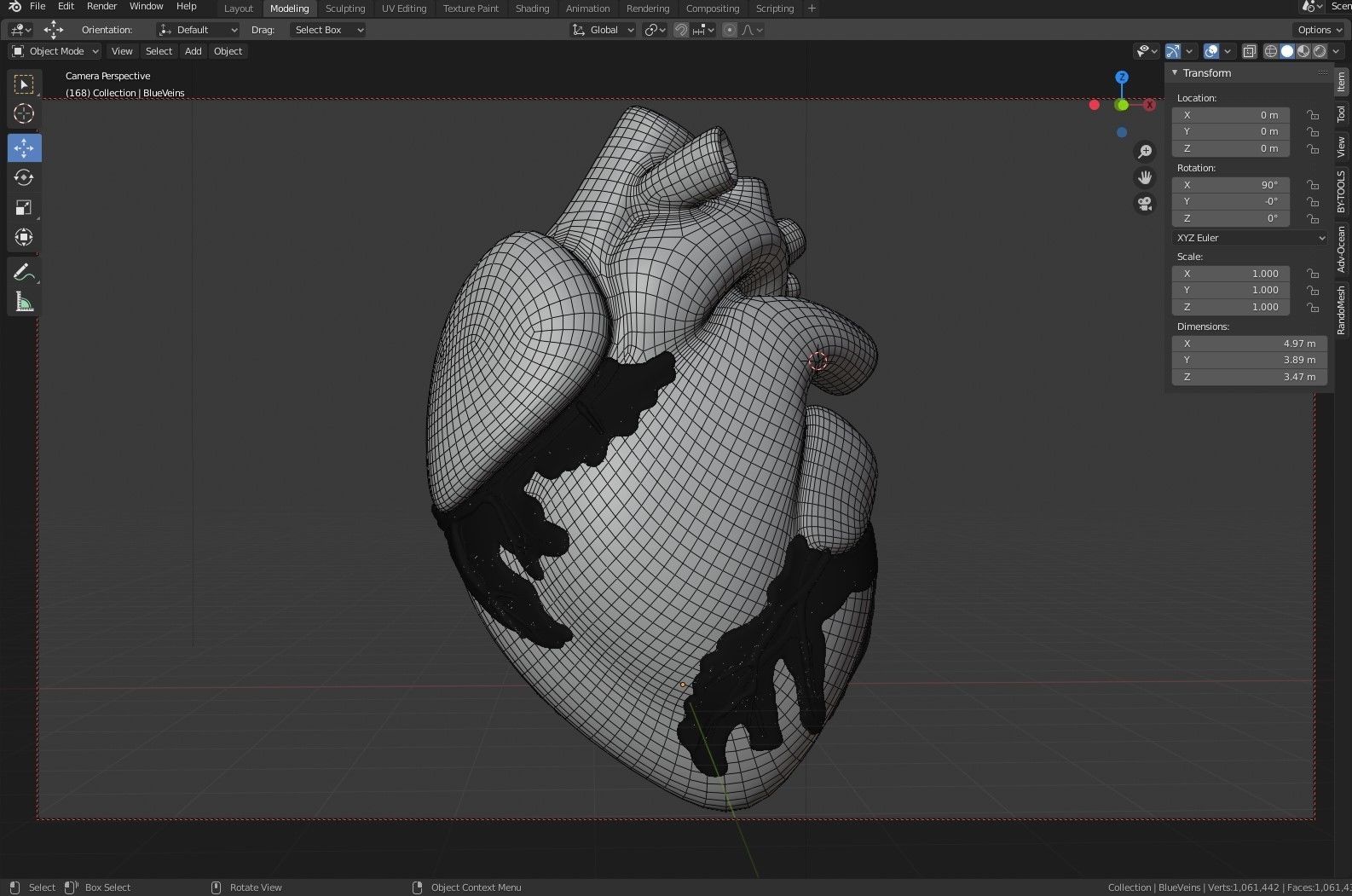 Anatomical Heart Model 3D model_6