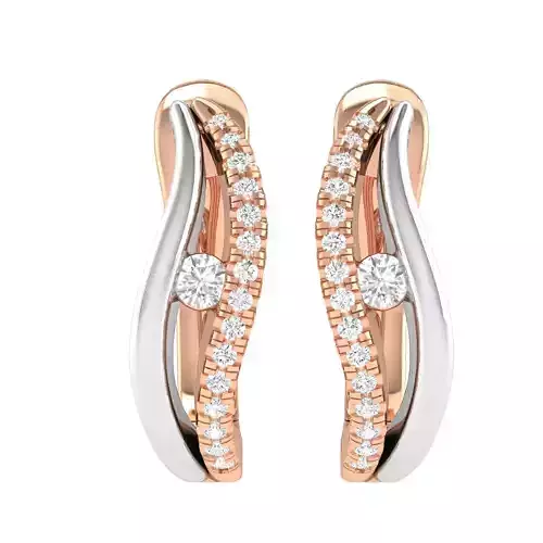 Women Earrings 3dm stl render detail  3D print model