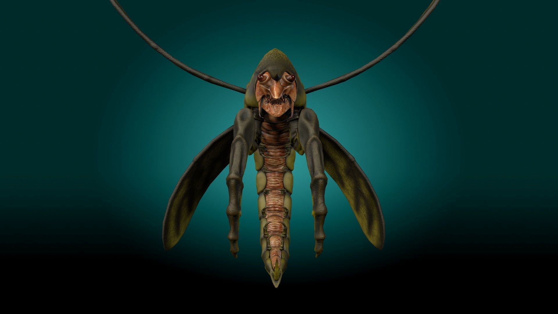 Flying Shrimp Monster V4 Low-poly 3D model_14