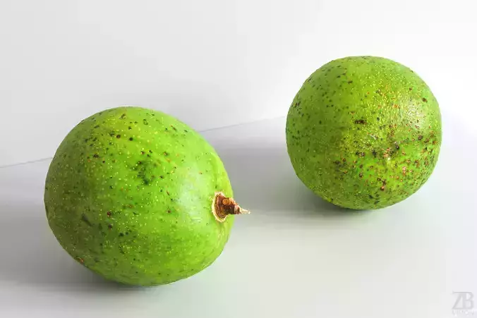 Avocado 3D model