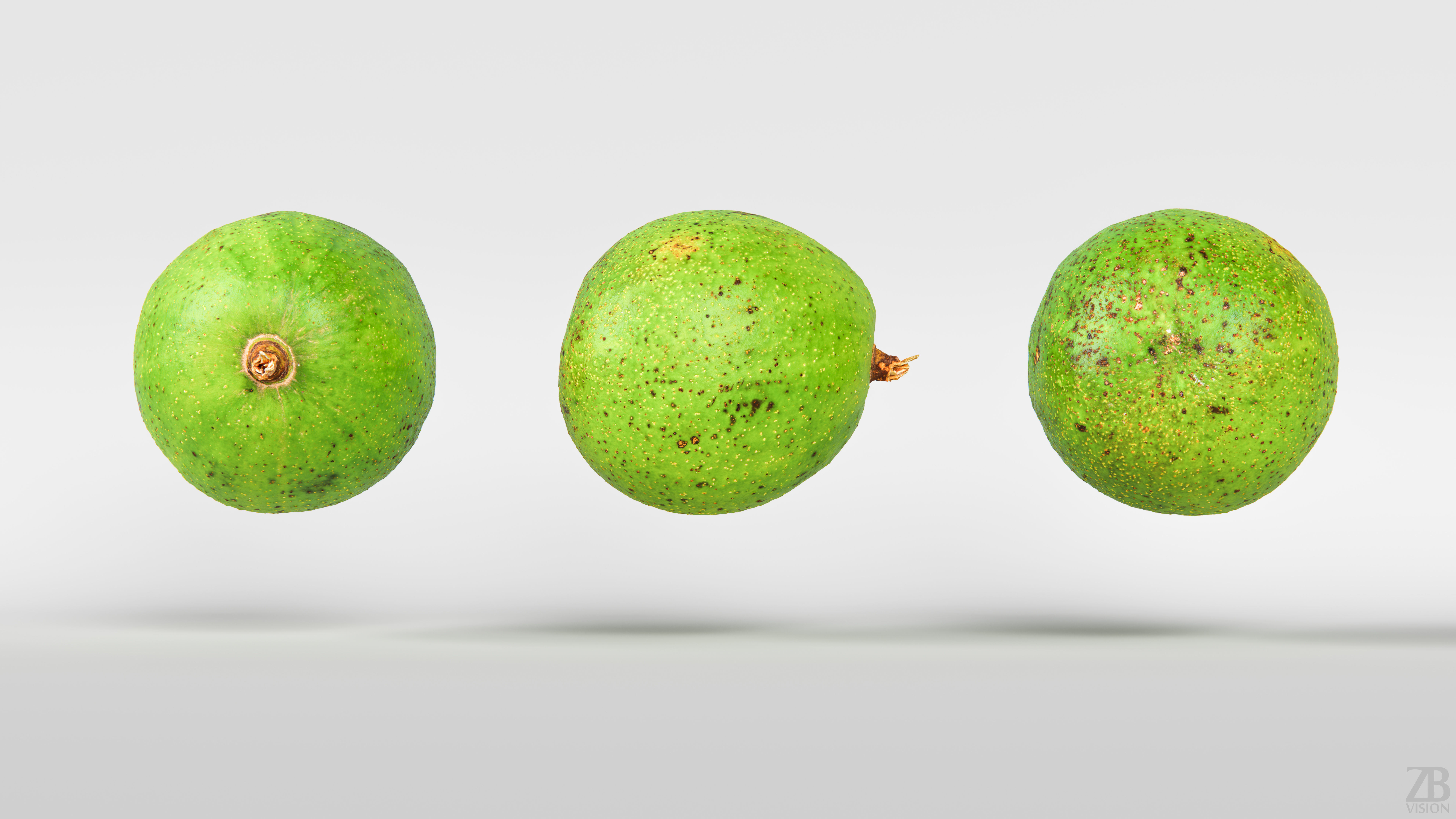 Avocado 3D model_4