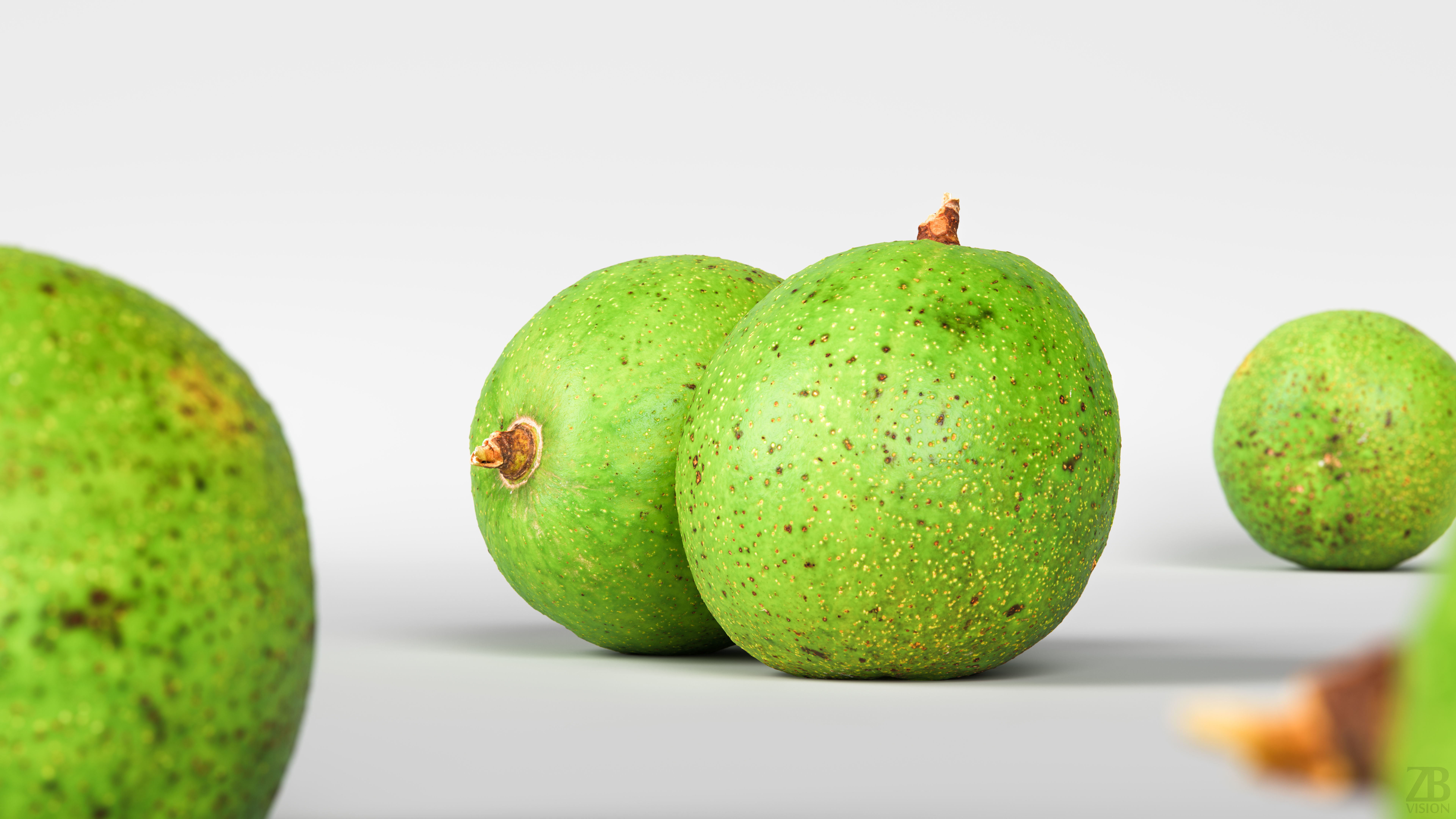Avocado 3D model_1