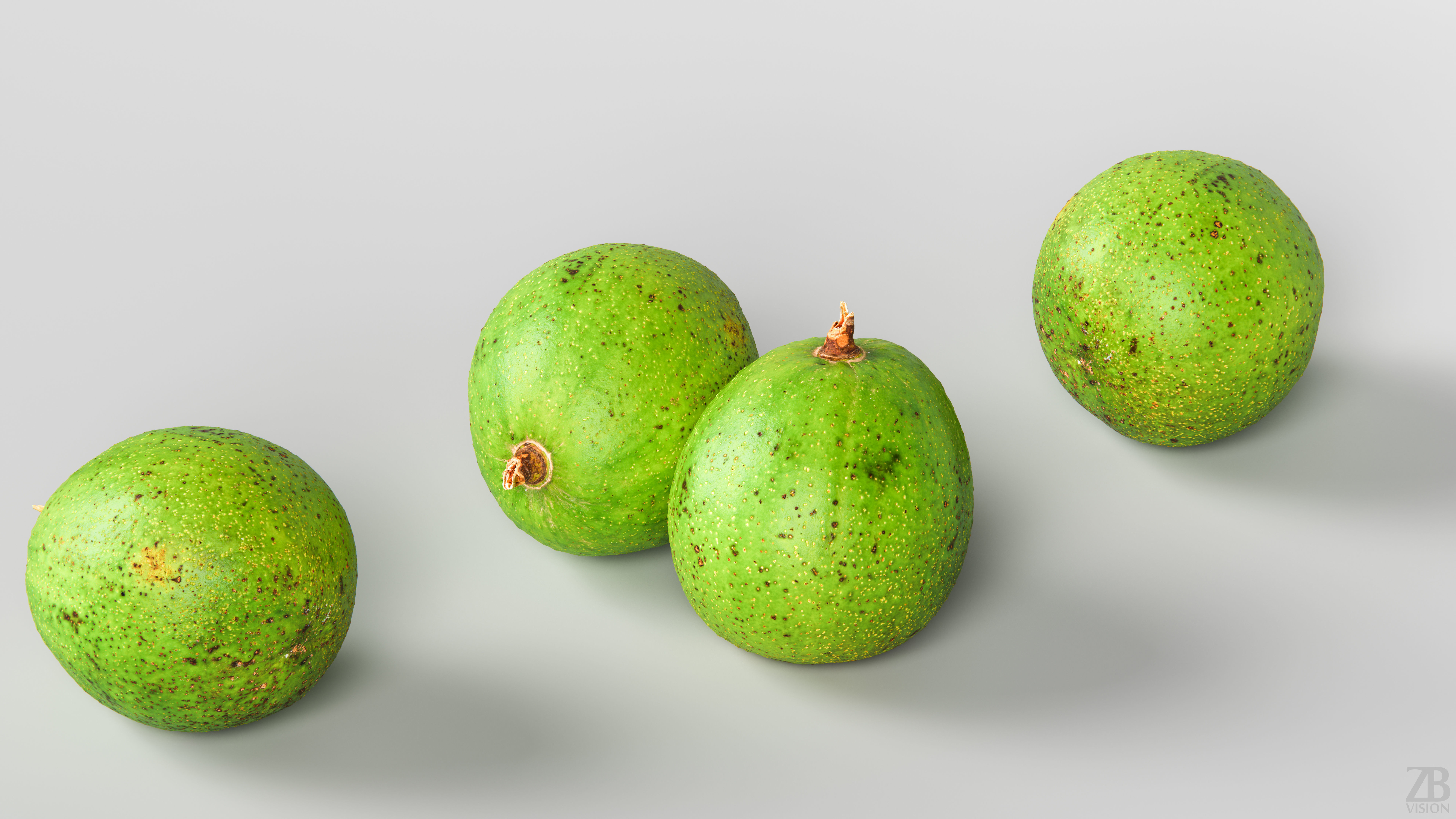 Avocado 3D model_2