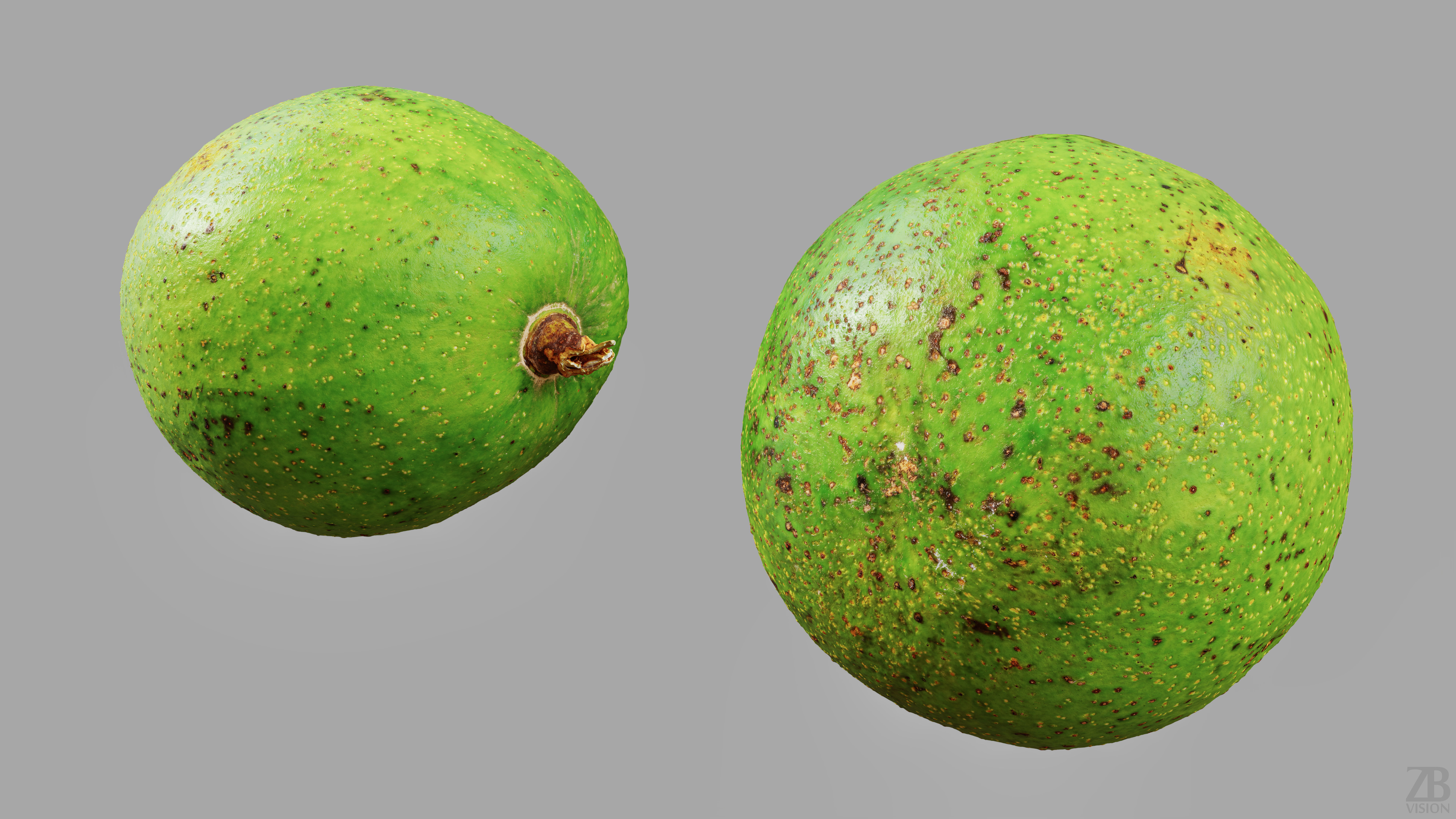 Avocado 3D model_11