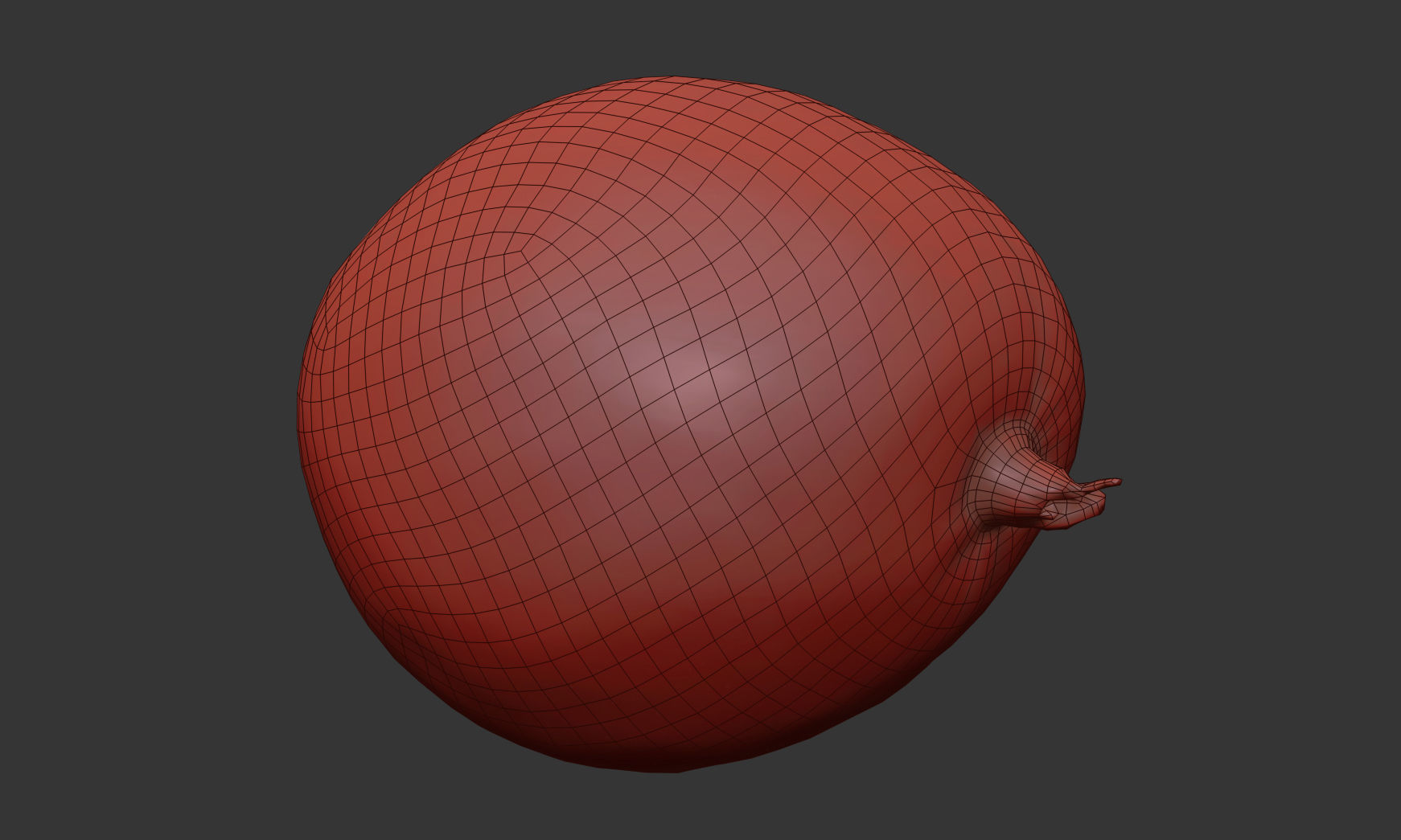 Avocado 3D model_9
