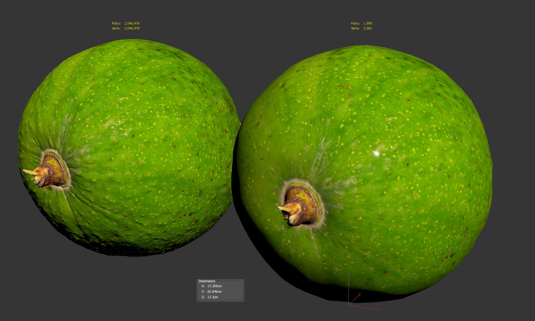Avocado 3D model_8