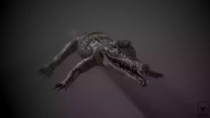 PBR Lowpoly Realistic Crocodile optimized for application