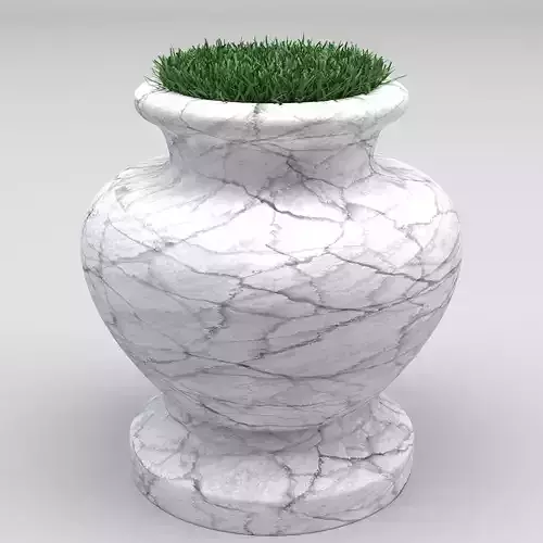 Marble Pot Grass 