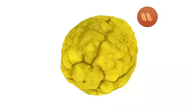 Citron Citrus medica - Real-Time Scanned