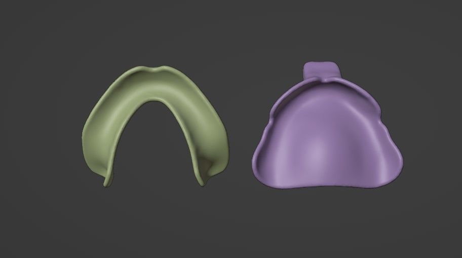 Custom impression trays for edentulous patients 3D model_4
