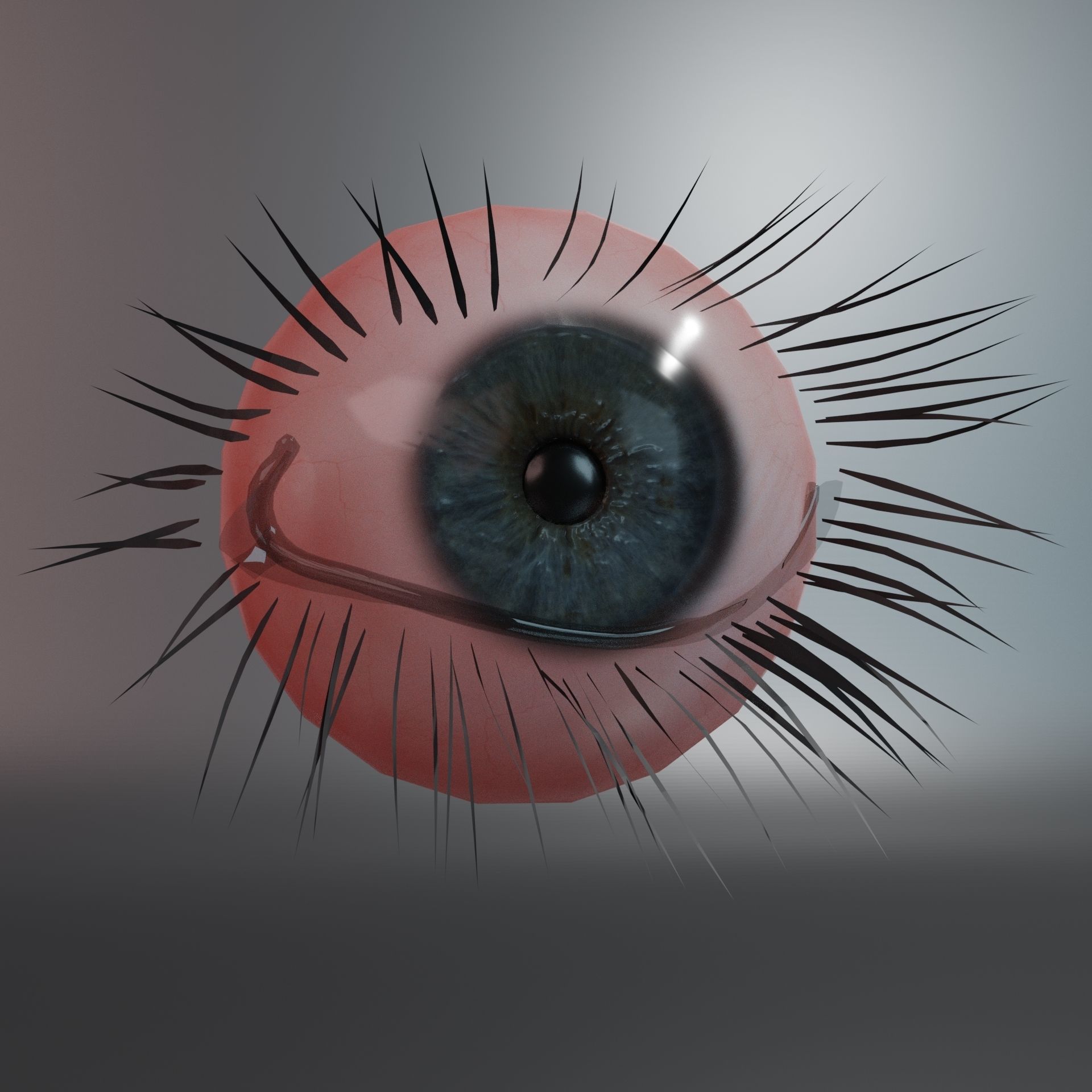 Realistic PBR Eye Set 8 Pieces Low-poly 3D model_7