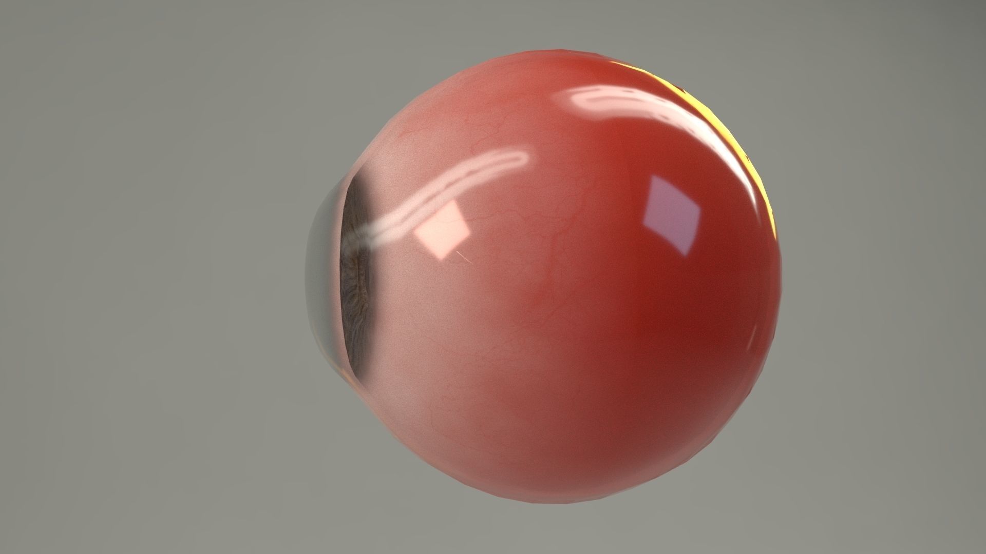 Realistic PBR Eye Set 8 Pieces Low-poly 3D model_3