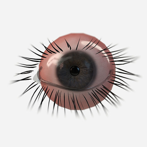 Realistic PBR Eye Set  8 Pieces Low-poly 3D model