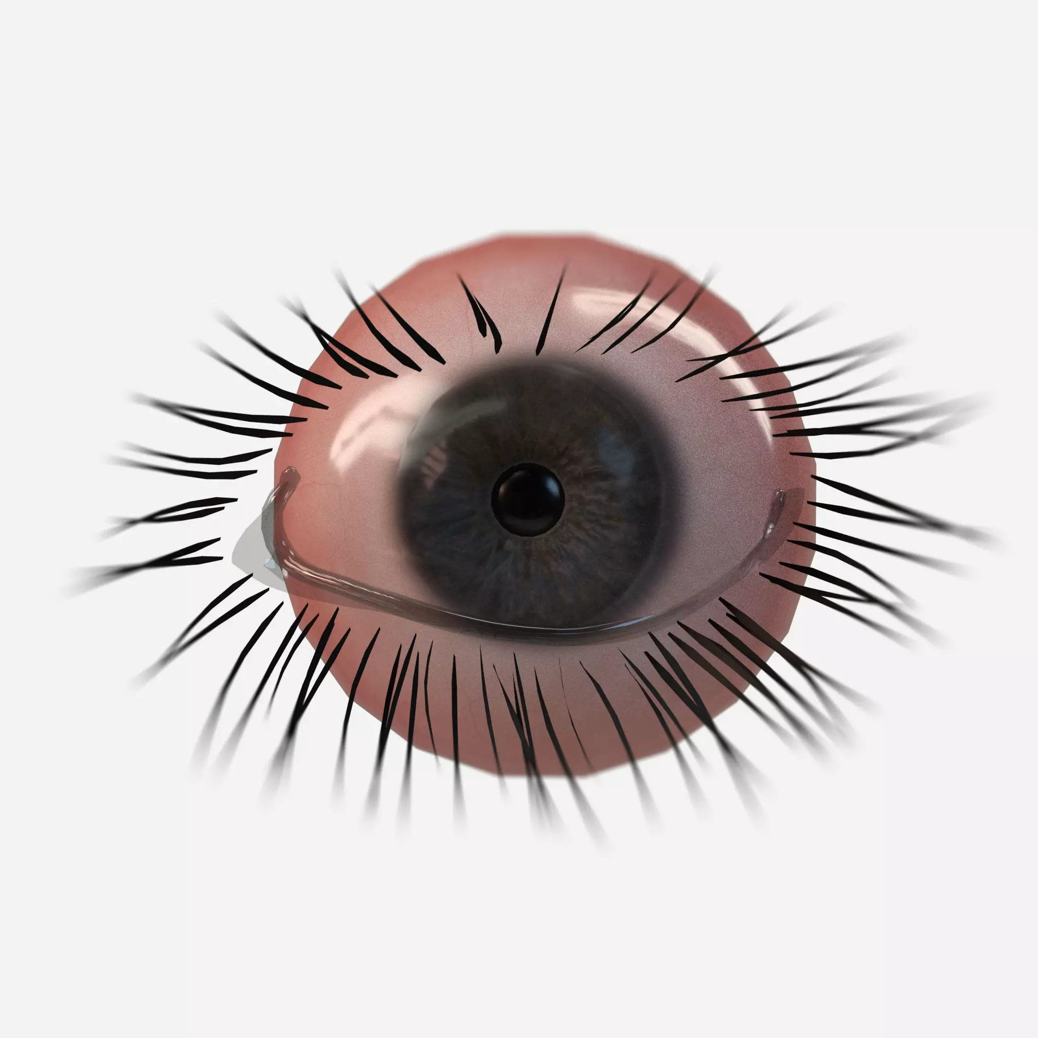 Realistic PBR Eye Set 8 Pieces Low-poly 3D model_0
