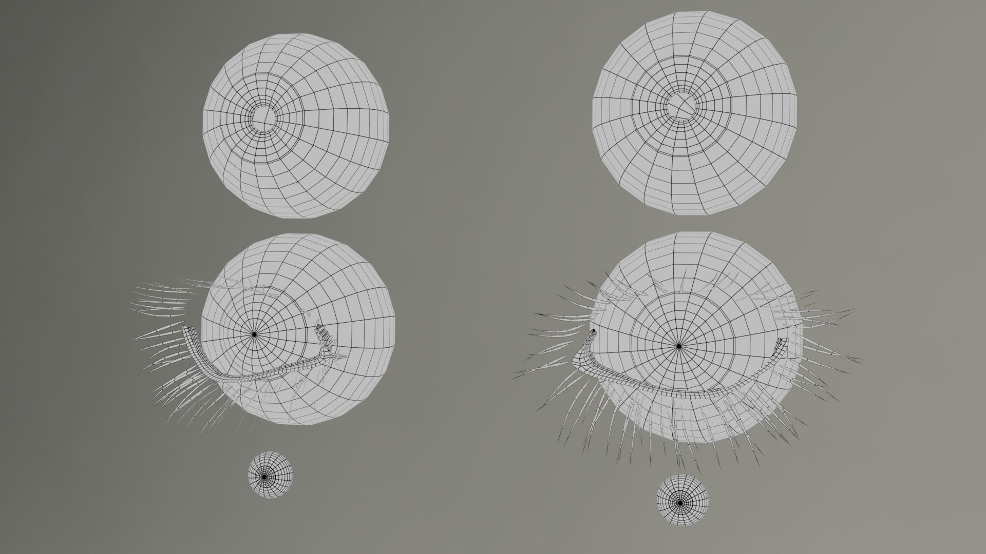 Realistic PBR Eye Set 8 Pieces Low-poly 3D model_11