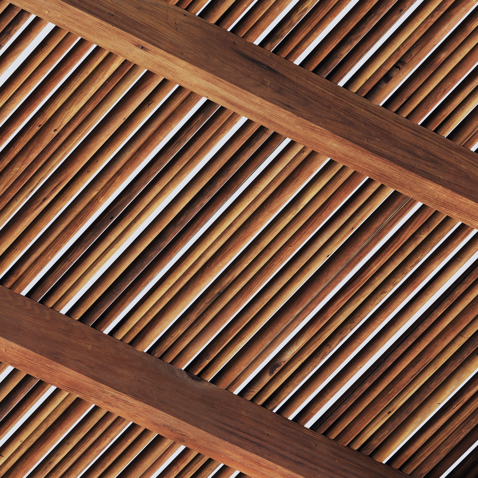 Ceiling thick branch straight n1 3D model_8