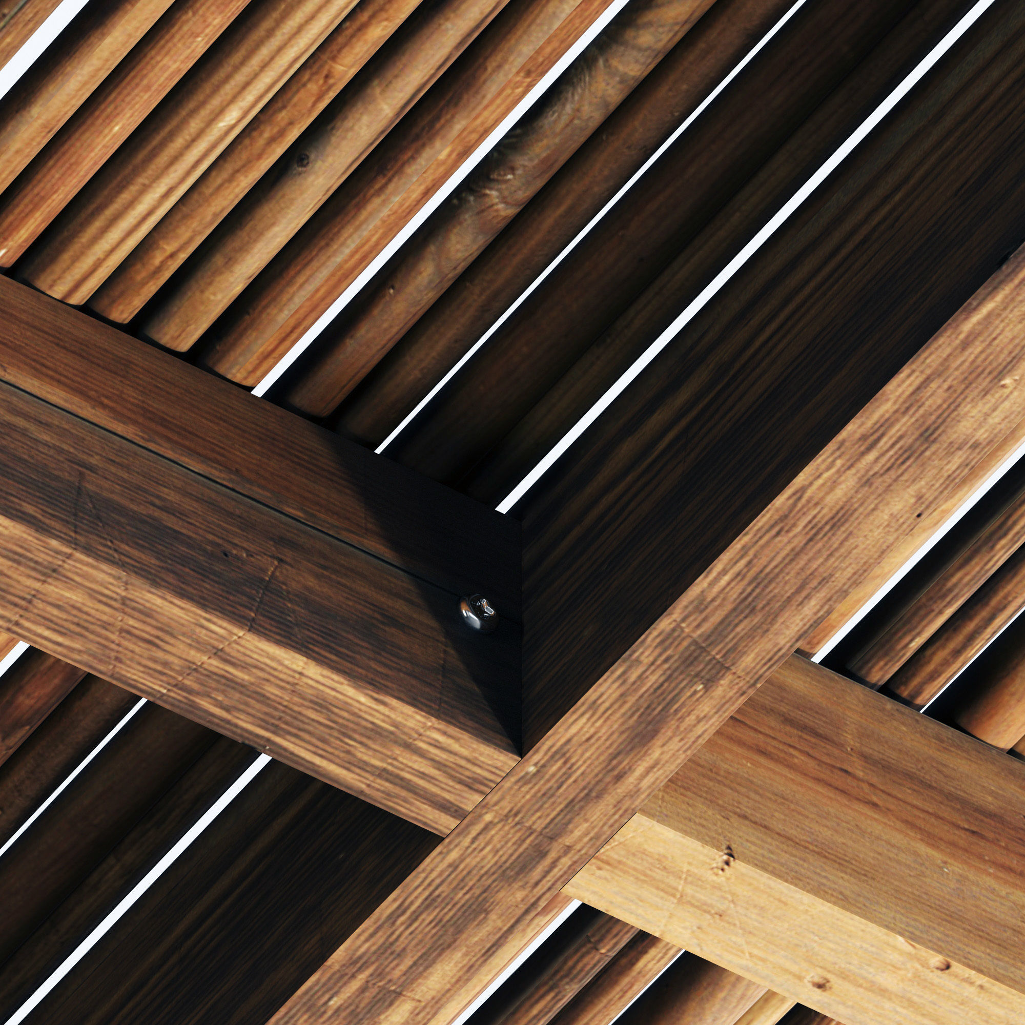 Ceiling thick branch straight n1 3D model_4