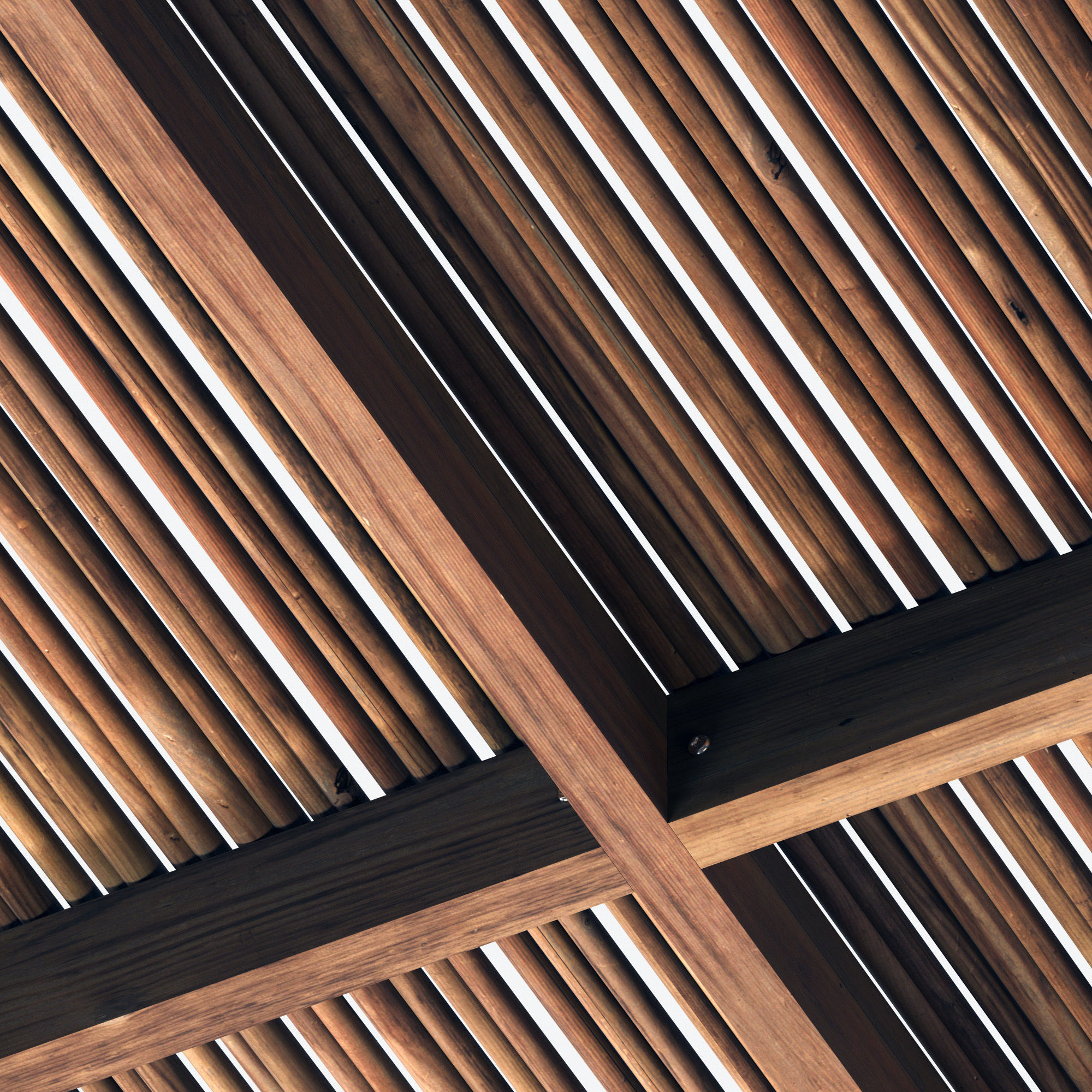 Ceiling thick branch straight n1 3D model_3