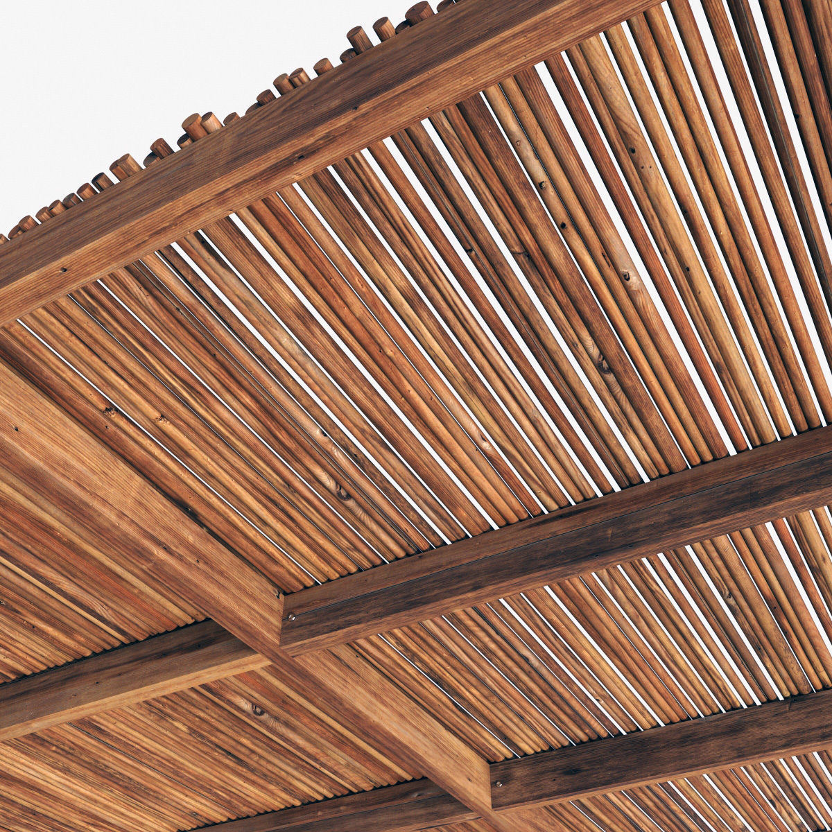 Ceiling thick branch straight n1 3D model_2